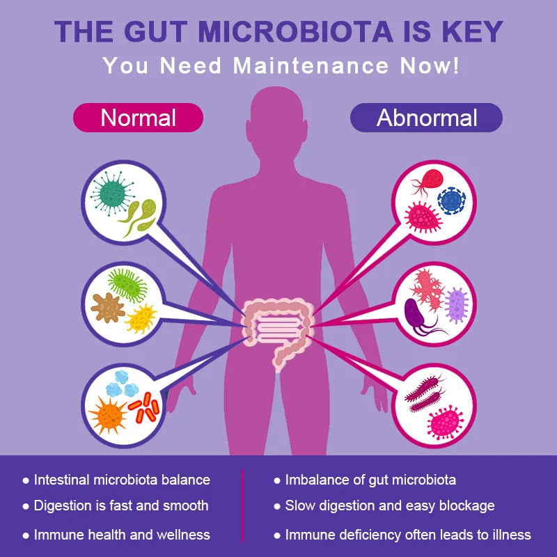 Lactobacillus Probiotic Supplement - Helps Burn Fat Metabolism & Promotes Nutrient Digestion And Gut Health For Adult Men&Women
