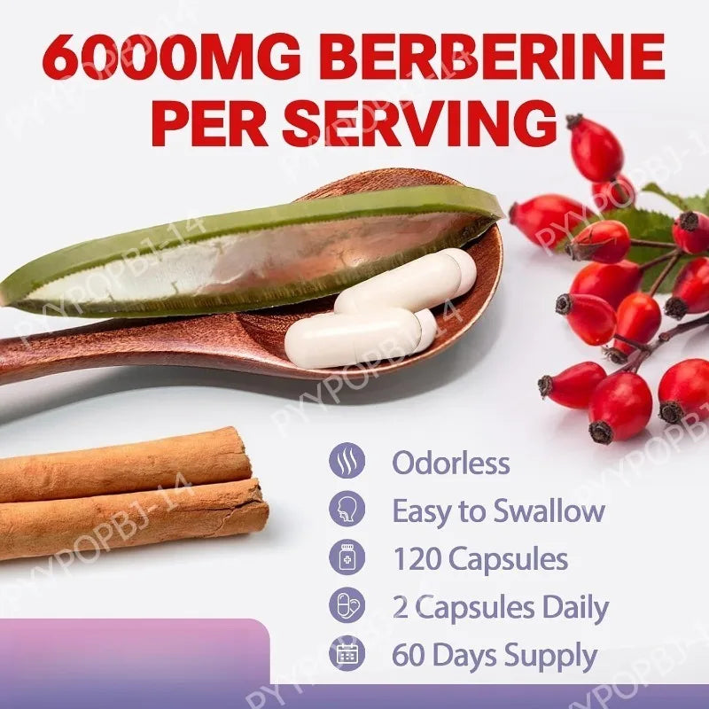27 in 1 Berberine Supplement with Ceylon Cinnamon, Milk Thistle for Liver Gut Health Immunity Men & Women 120 Vegan Capsules