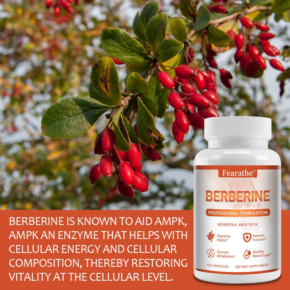 Premium Berberine - Supports Immune System, Weight Management, Digestive Health and GI Function Supplement, 120 Capsules
